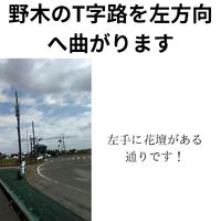 画像291